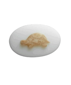 Tortoise Silicone Mould