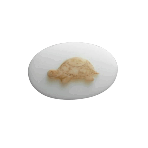Tortoise Silicone Mould
