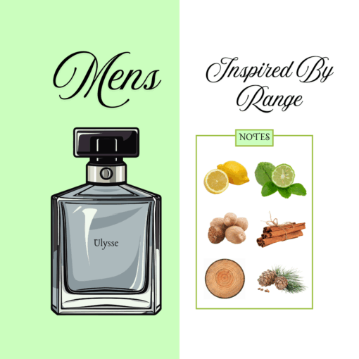 Ulysse - Issey Miyake Pour Homme 100g - Men