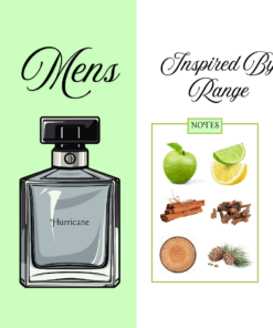 Hurricane - Hugo Boss 100g - Men