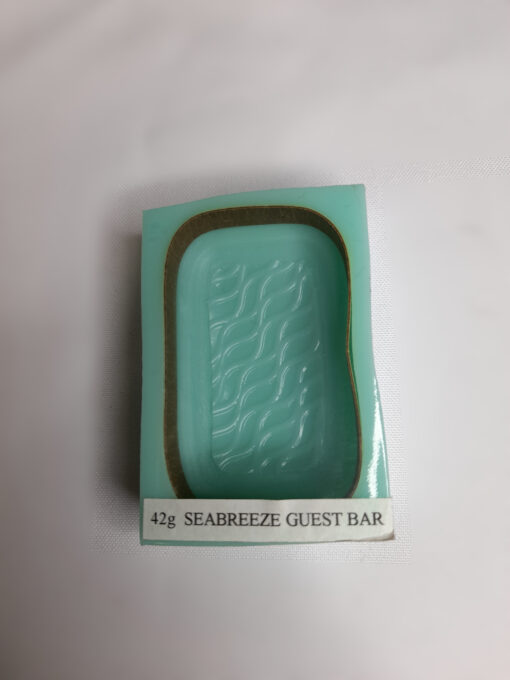 Sea Breeze Guest Silicone Mould - 40g