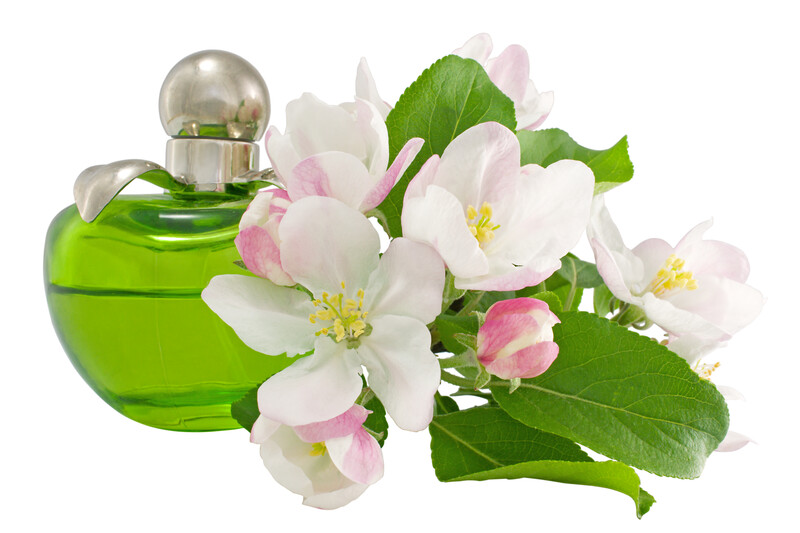 Sweet Pea Fragrance Oil 10ml 001727 - Fun With Soap