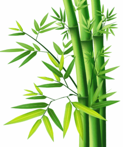 Bamboo Leaf Extract - 50ml