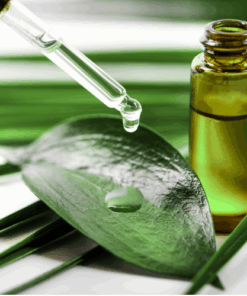 Organic Tamanu Oil - 100ml