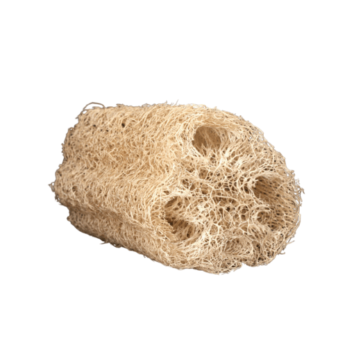 Unprocessed Loofah