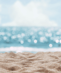 Delectable Beach Fragrance Oil - 10ml