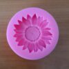 Silicone Mould 20240605