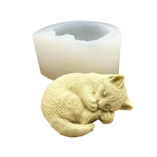Sleepy Cat Mould