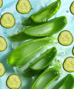 Aloe Cucumber Fragrance Oil - 10ml