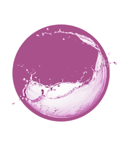 Purple Water Soluble Dye - 100ml