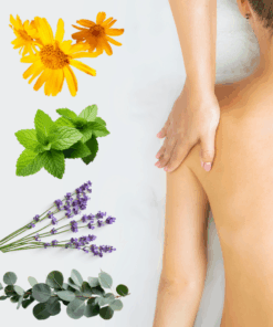 Therapeutic Muscle Rub - 500ml