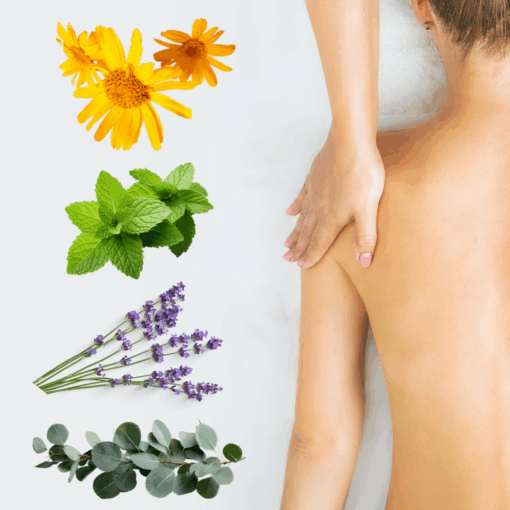 Therapeutic Muscle Rub - 500ml