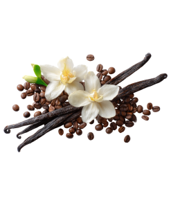 Vanilla Spice Fragrance Oil - 50ml